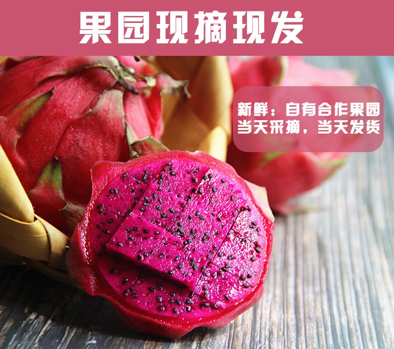 【特价】红心火龙果约500g